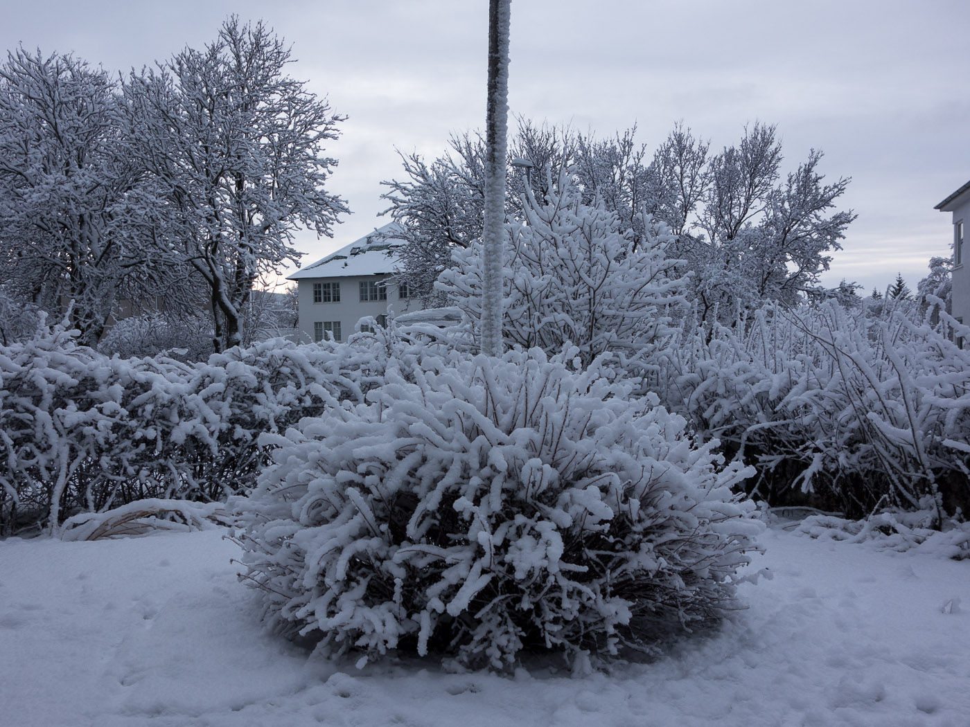 Reykjavík. Miscellaneous LXXIII. - Snow. II. (20 till 31 January 2014)