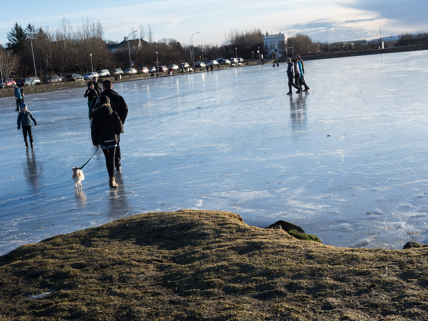 Reykjavík. Miscellaneous LXXIV. - Tjörnin lake, frozen. II. (2 till 21 February 2014)