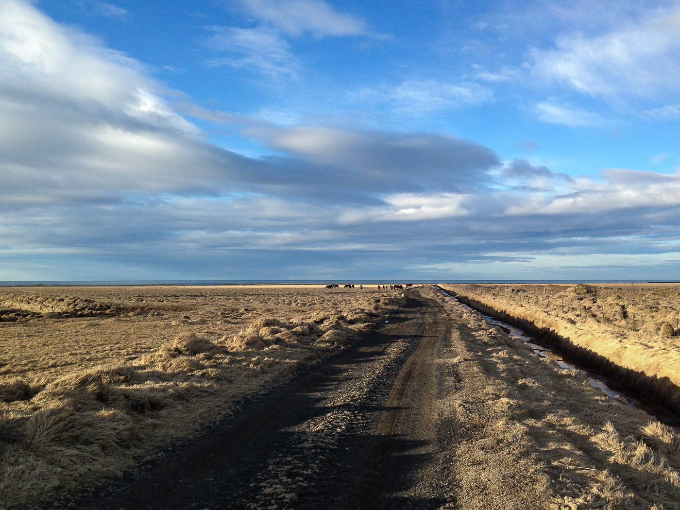 South coast. Driving back to Reykjavík! - Beside Mt. Pétursey. Out for a short hike. III. (2 March 2014)