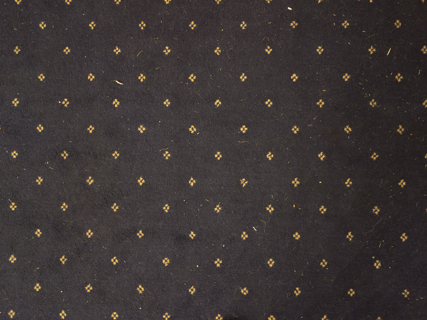 Reykjavík. Miscellaneous LXXVI. - Carpet in NASA. (1 till 30 April 2014)