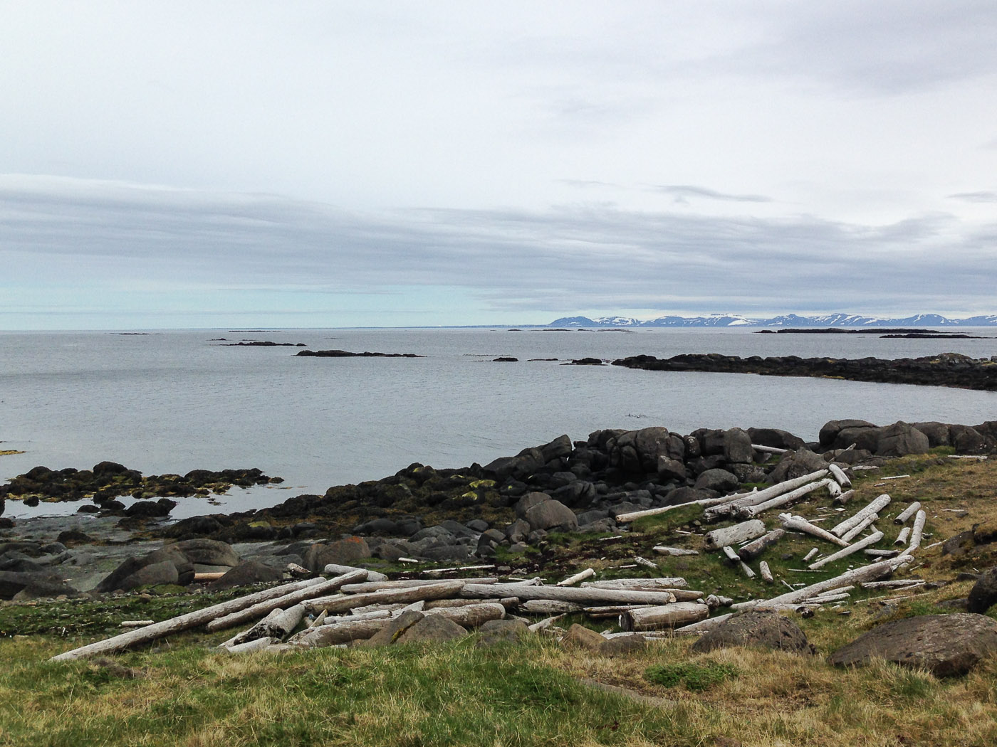 Djúpavík. Week 1. - Driftwood. Near Djúpavík. (26 May till 1 June 2014)