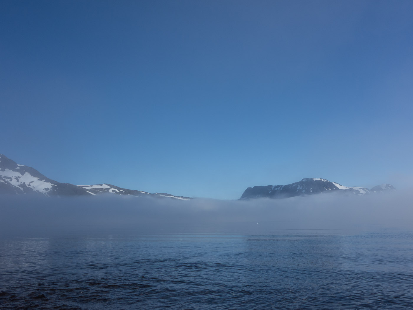 Djúpavík. Week 2. - A foggy (and sunny also) week. VII. (2 June till 8 June 2014)