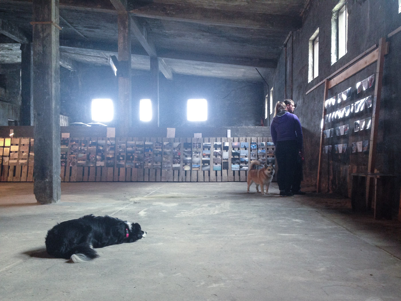 Djúpavík. Week 2. - Inside the herring factory - guest visiting the  <a href='http://www.djupavik.com/steypa' target='_blank' class='linksnormal'>photography exhibition STEYPA</a>. (2 June till 8 June 2014)