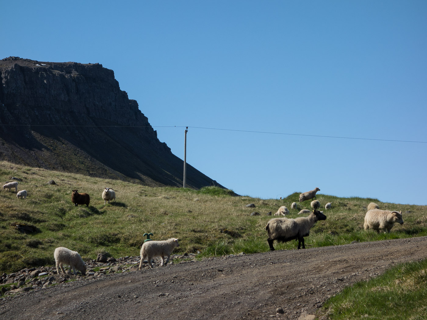 Djúpavík. Week 3. - . (9 June till 15 June 2014)