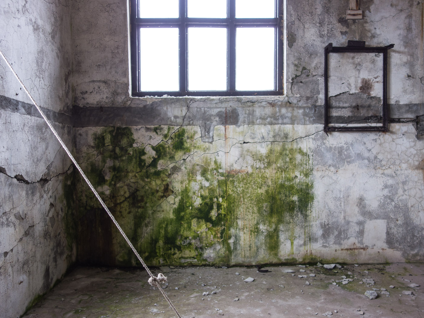 Djúpavík. Week 5. - Herring factory. II. (23 June till 29 June 2014)