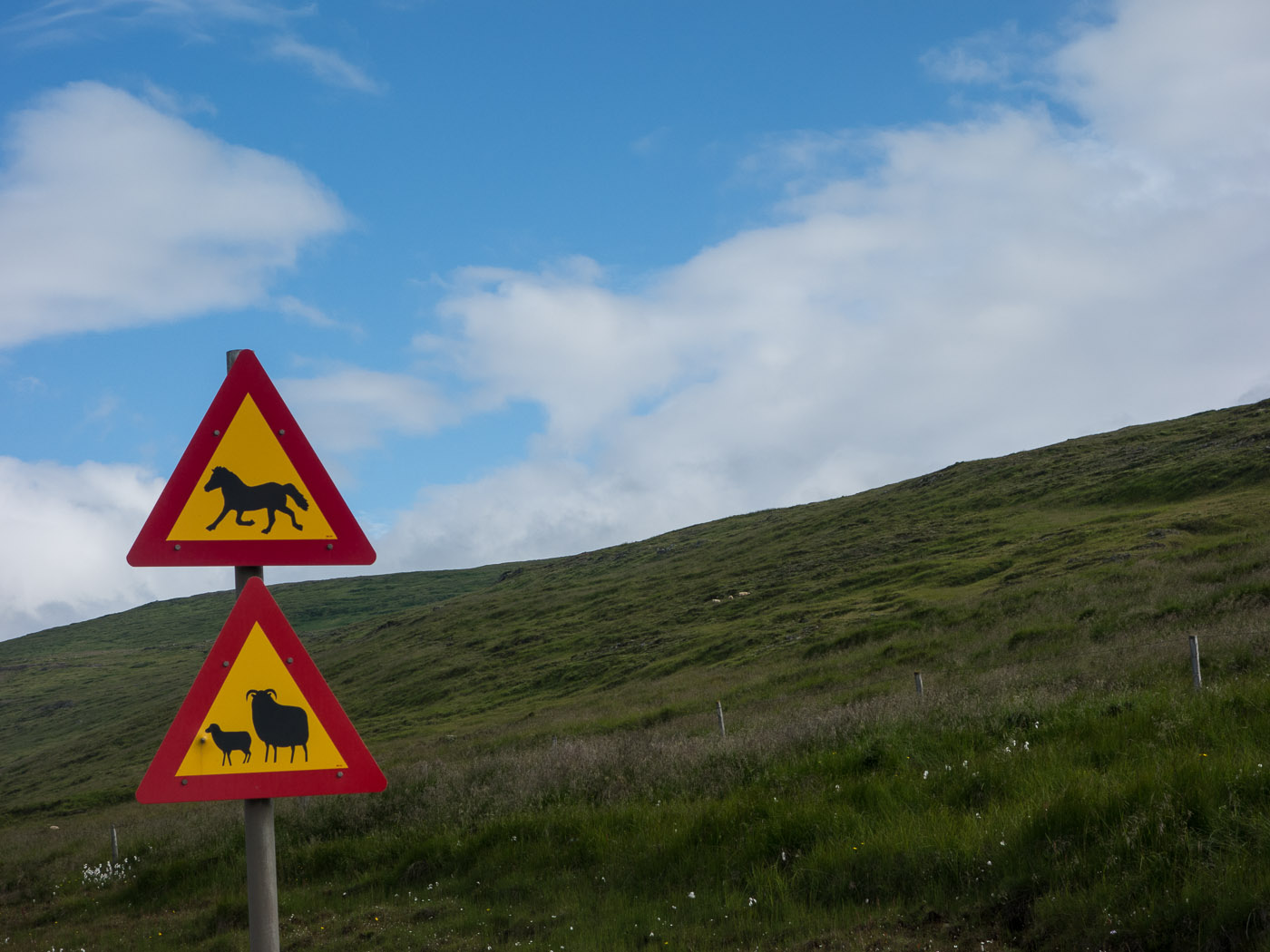 Northern Iceland - Hvammstangi - Svarfaðardalur. On vacation. - Around Vatsnes. III. (20 July 2014)