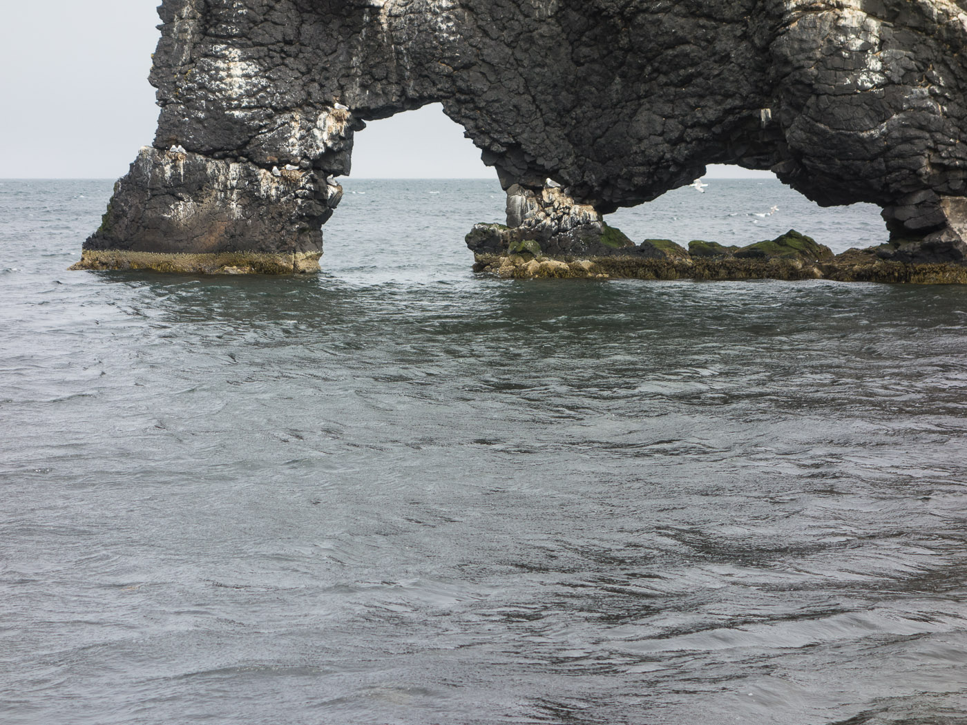 Northern Iceland - Hvammstangi - Svarfaðardalur. On vacation. - Around Vatsnes. X. Hvítserkur (detail) ... (20 July 2014)