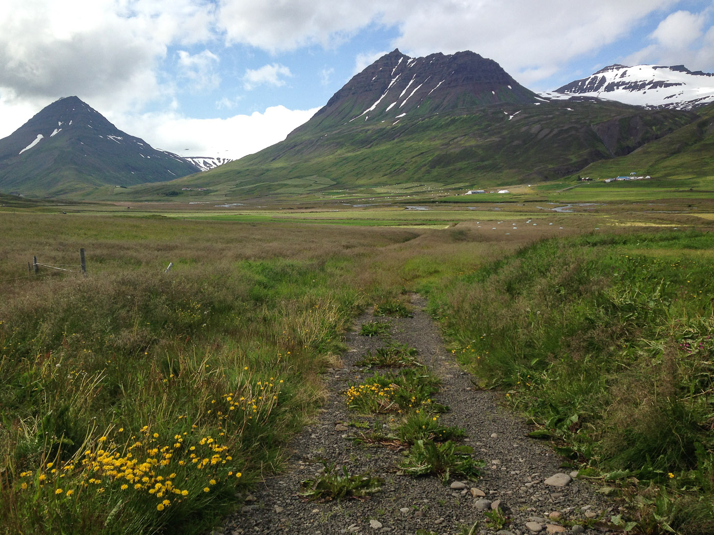 Northern Iceland - Svarfaðardalur. On vacation. - Hiking to lake Skeiðavatn. I. (21 July 2014)