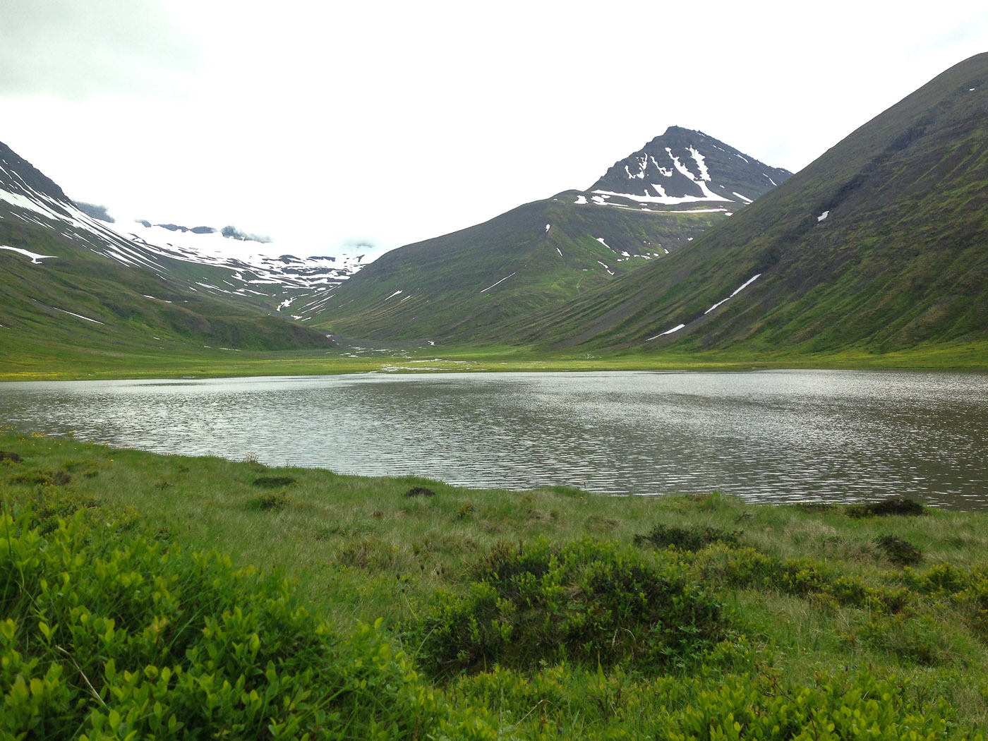 Northern Iceland - Svarfaðardalur. On vacation. - Hiking to lake Skeiðavatn. III. (21 July 2014)