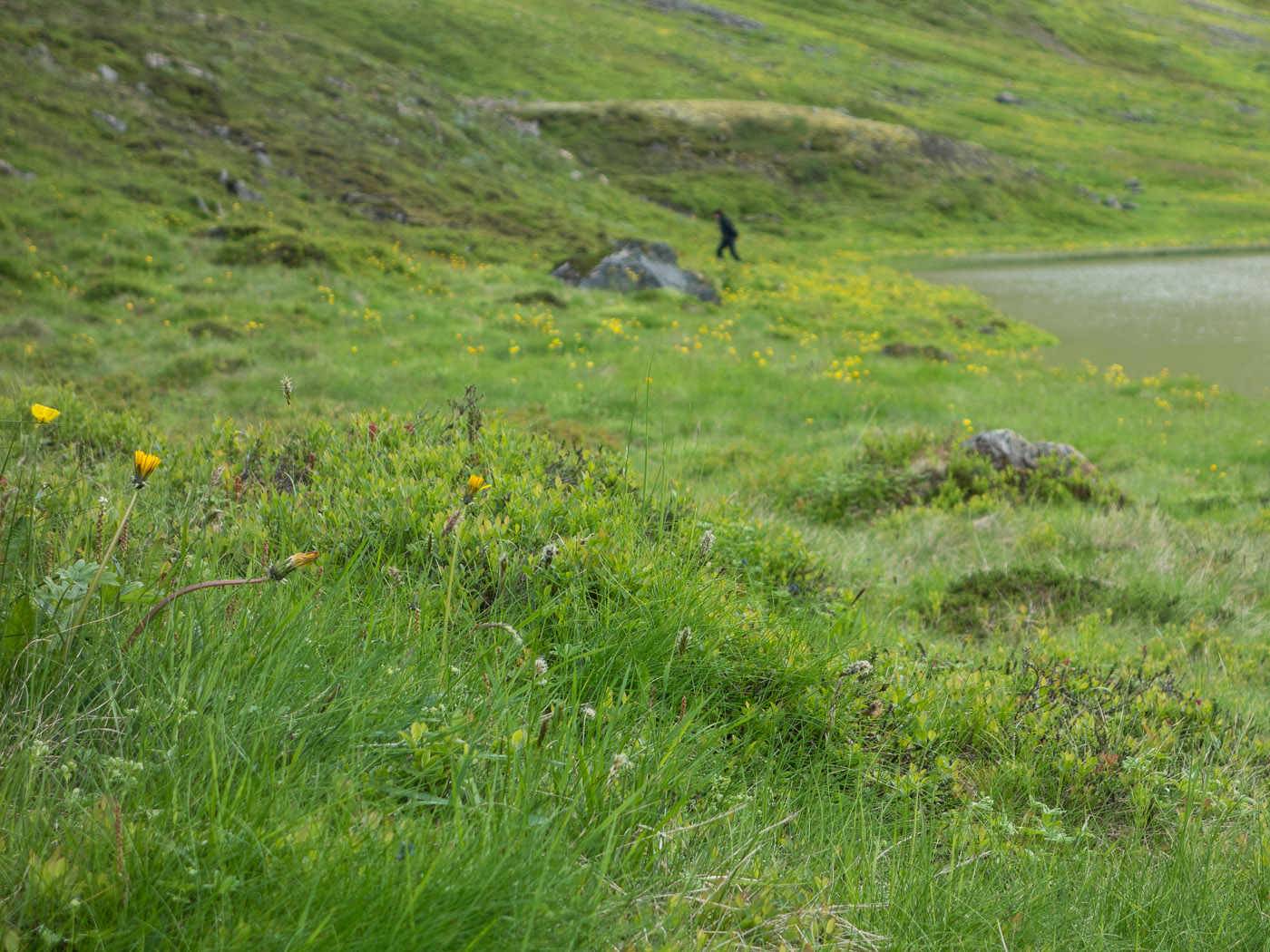 Northern Iceland - Svarfaðardalur. On vacation. - Hiking to lake Skeiðavatn. V. (21 July 2014)