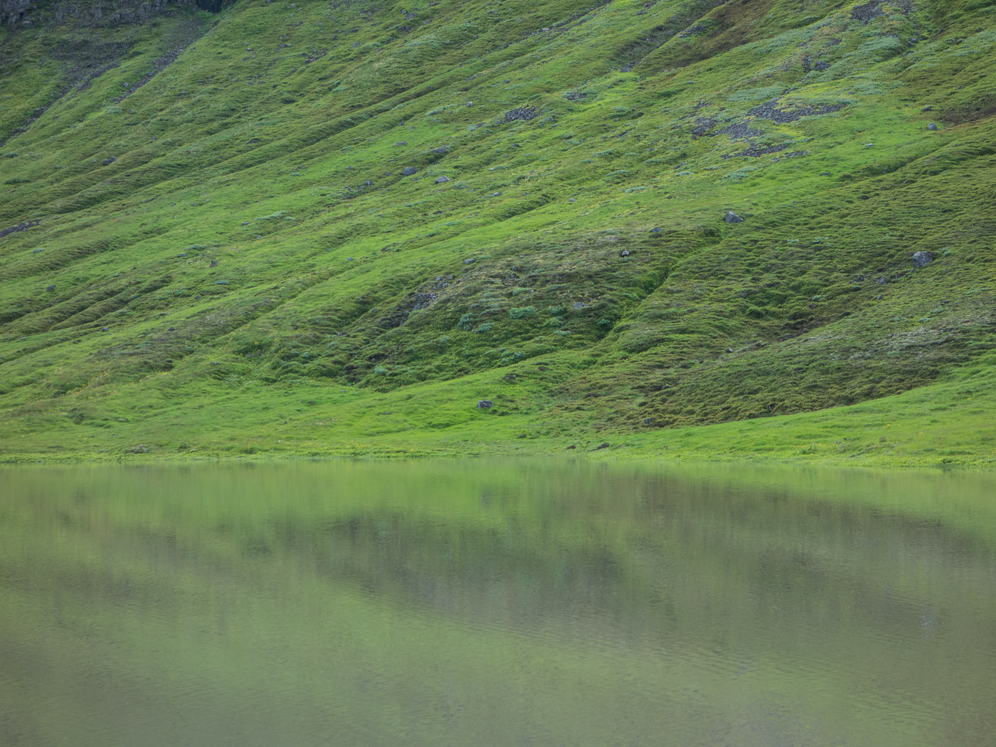 Northern Iceland - Svarfaðardalur. On vacation. - Hiking to lake Skeiðavatn. VIII. (21 July 2014)