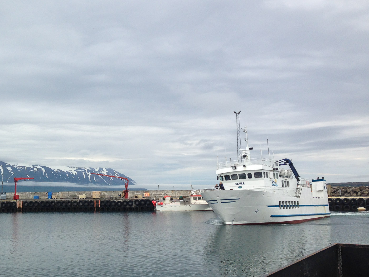 Northern Iceland - Hrísey island. On vacation. - 'Hrísey. Our' ferry arrives ... (22 July 2014)