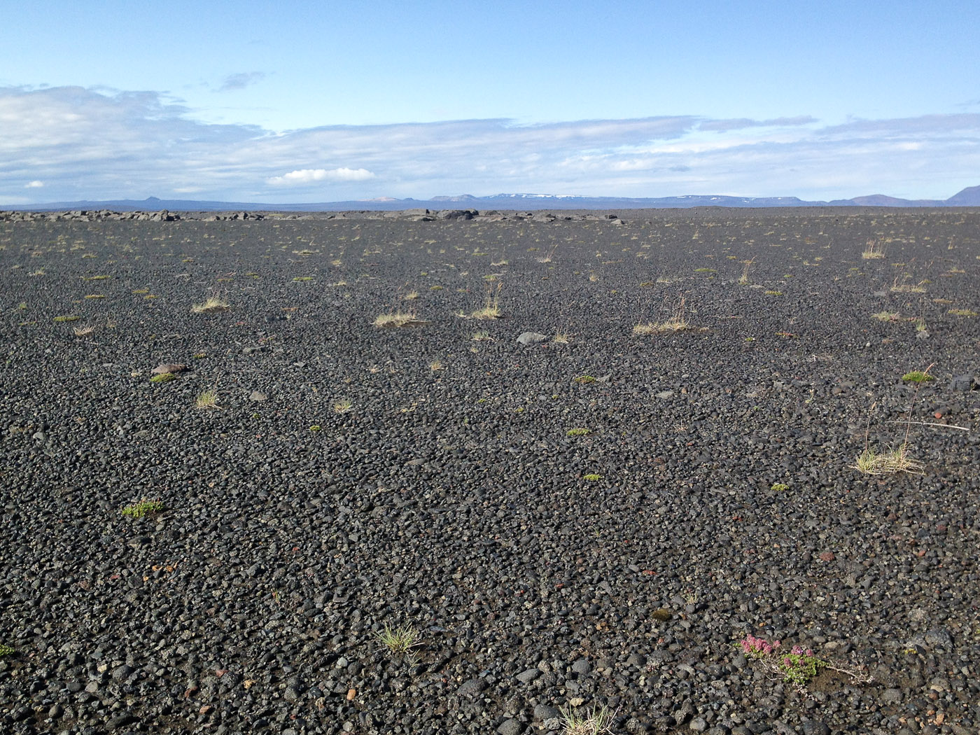 Northern Iceland - On the way to Askja. On vacation. - . (24 July 2014)