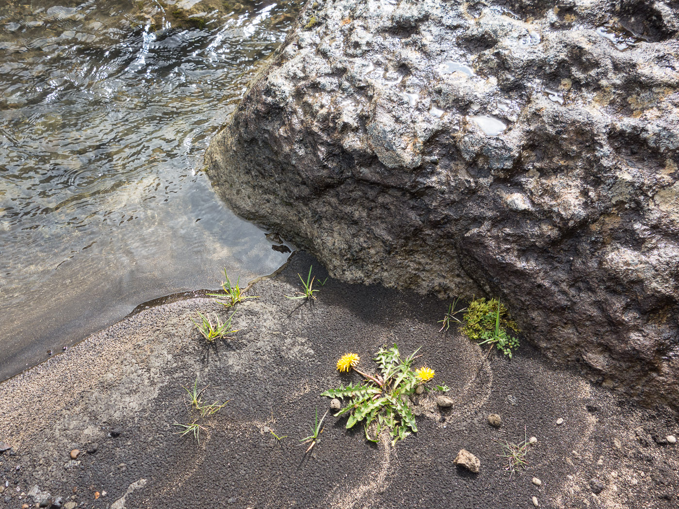 Northern Iceland - On the way to Askja. On vacation. - . (24 July 2014)