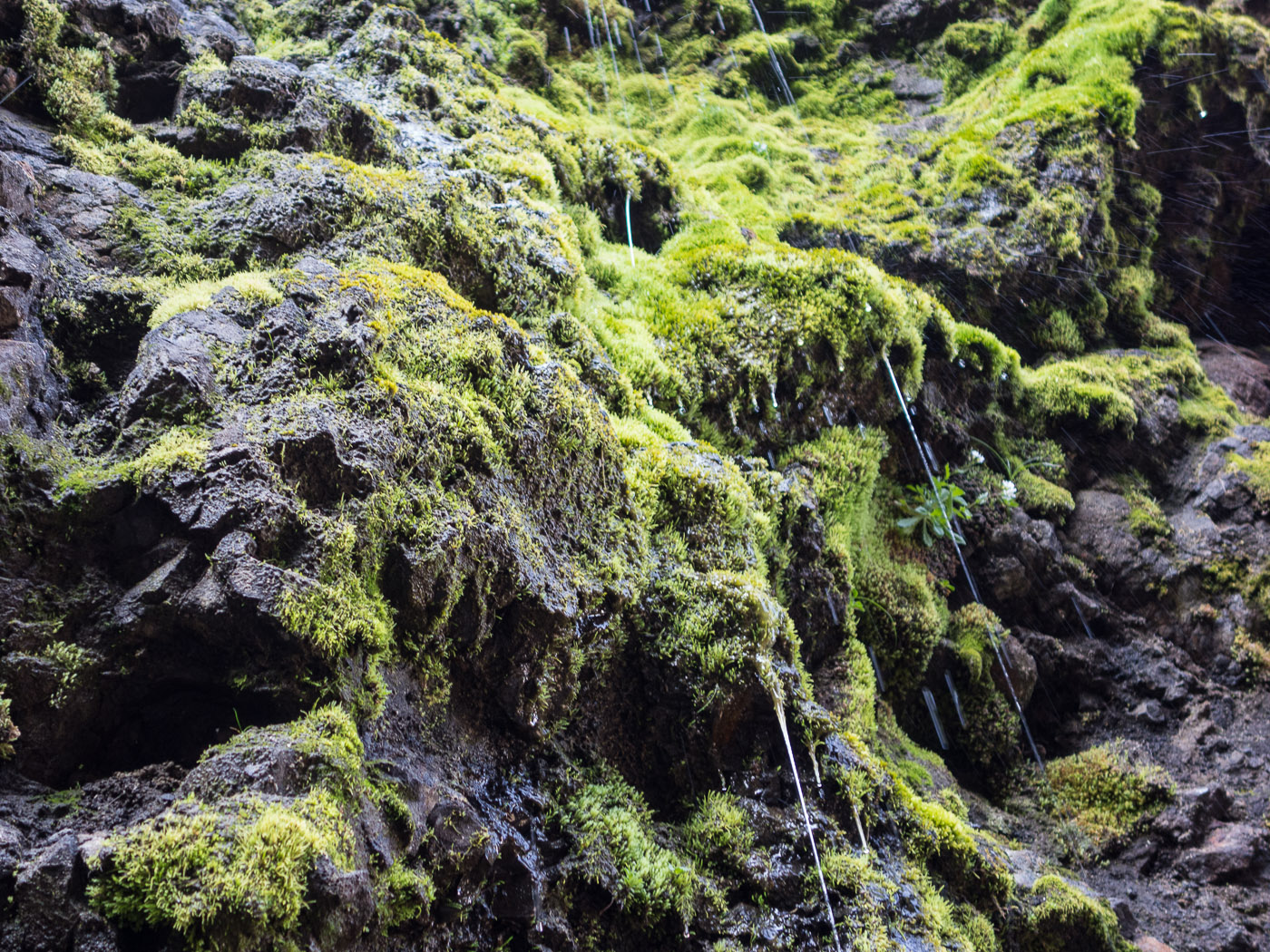 Northern Iceland - On the way to Askja. On vacation. - Askja/Dreki. III. (24 July 2014)