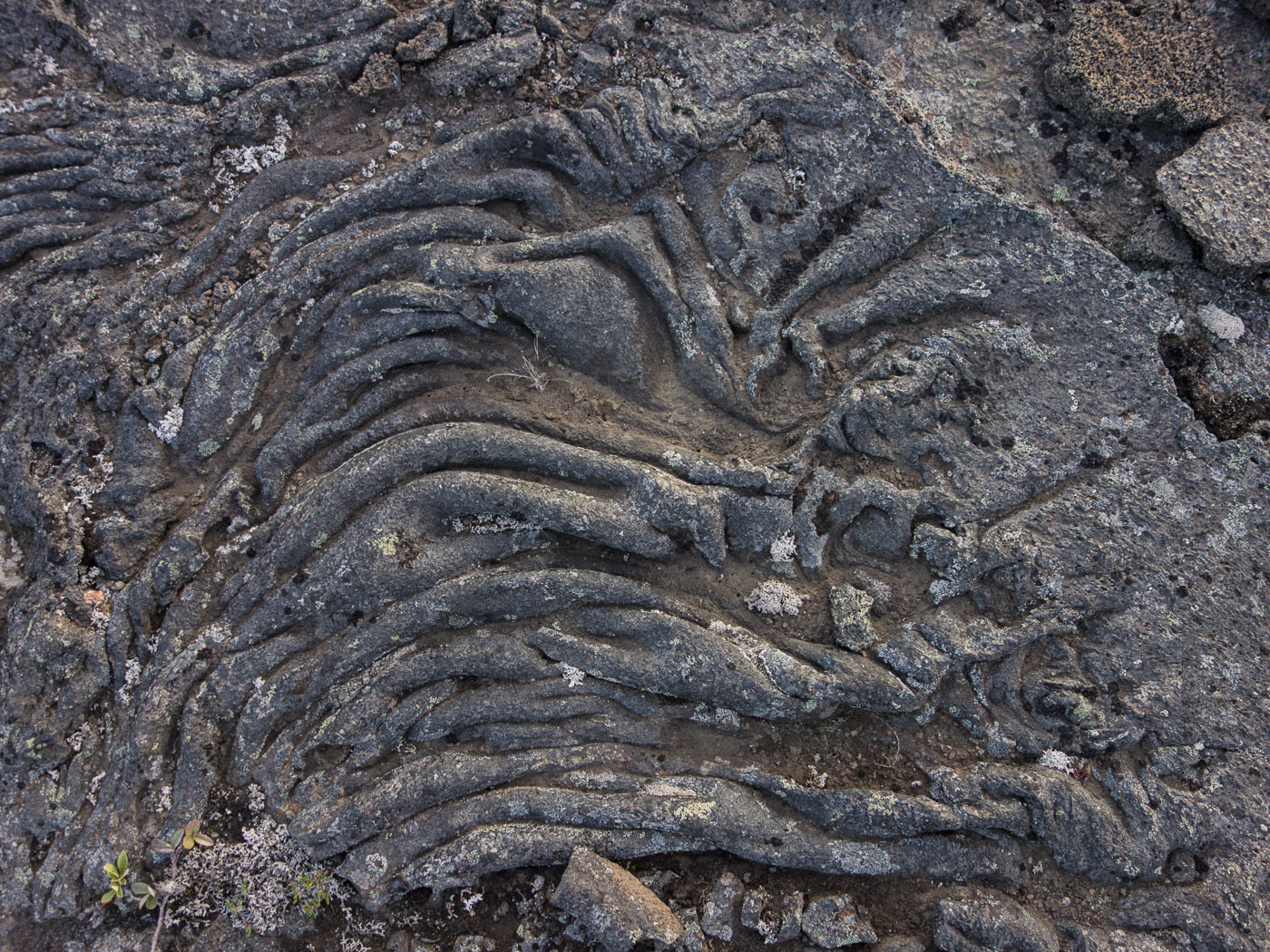 Northern Iceland - On the way to Askja. On vacation. - Somewhere. Lava. (24 July 2014)