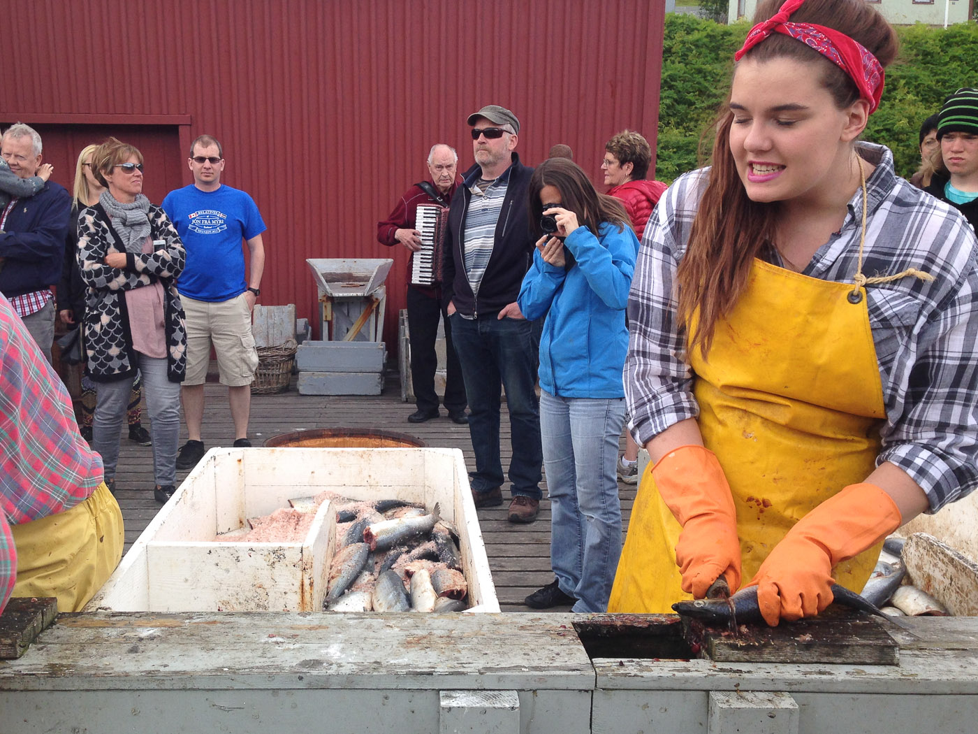 Northern Iceland - Herring and sunset. On vacation. - <a href='http://www.sild.is/en' target='_blank' class='linksnormal'>Herring Museum</a> in Siglufjörður - a short play about salting herring :-). IV. (26 July 2014)