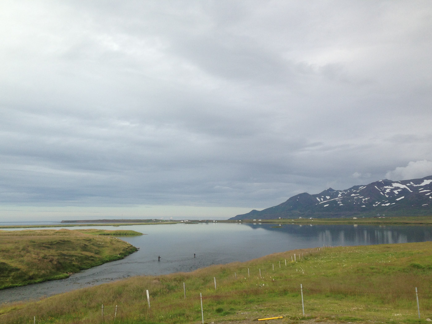 Northern Iceland - Herring and sunset. On vacation. - Somewhere. Tröllaskagi. (26 July 2014)