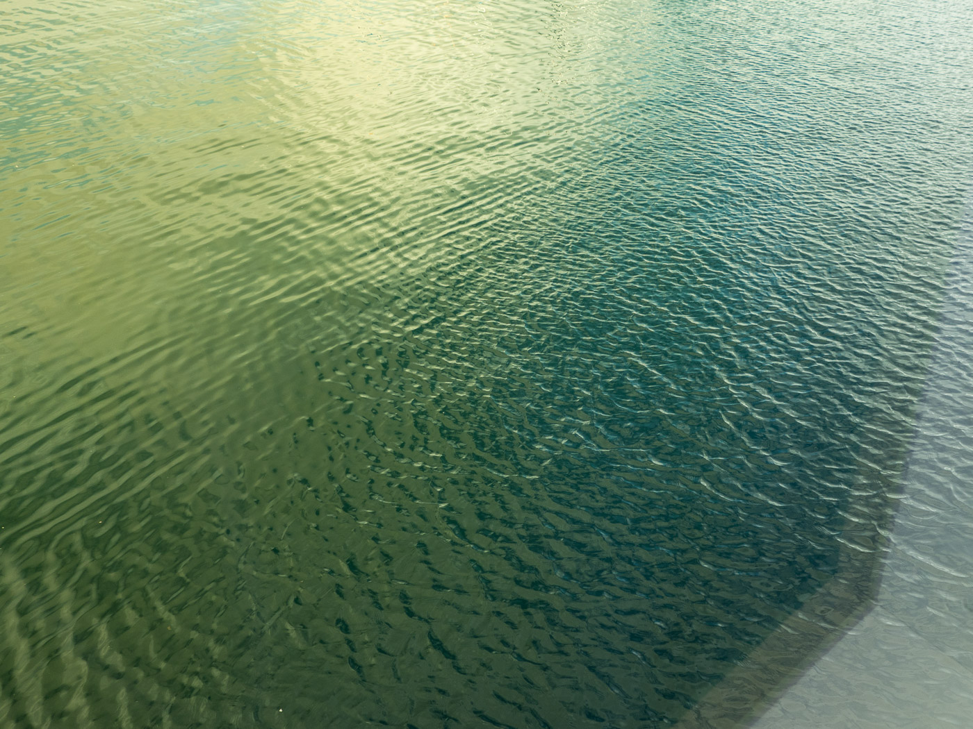 Reykjavík. Water, seen from HARPA. - IV. (9 September 2014)