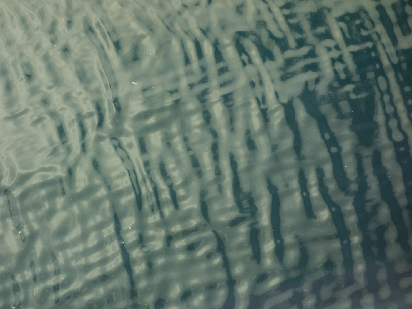 Reykjavík. Water, seen from HARPA. - VII. (9 September 2014)