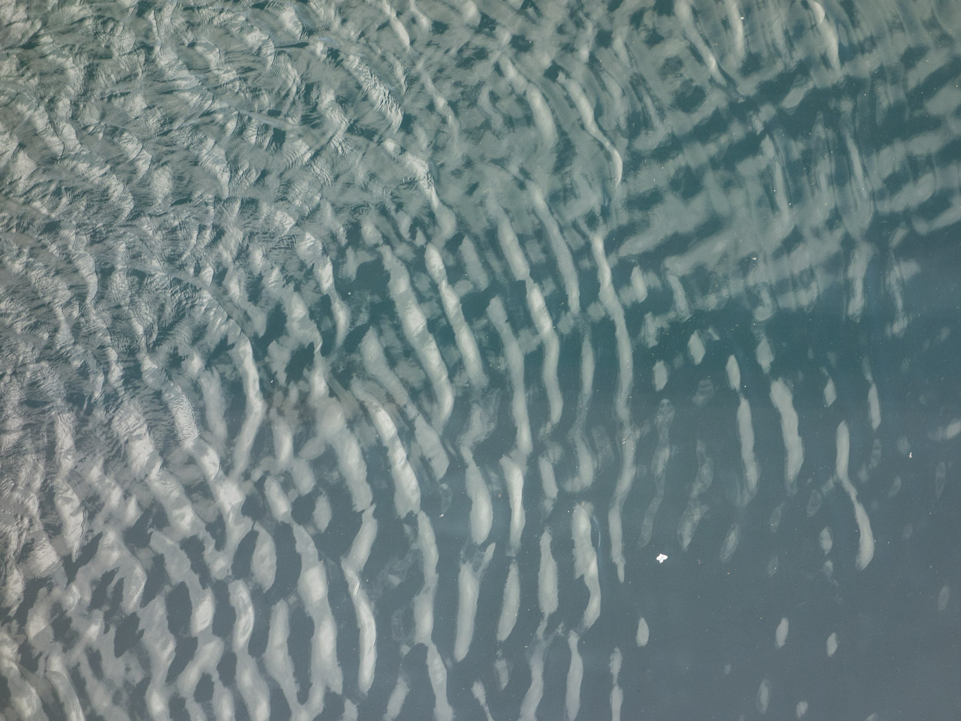 Reykjavík. Water, seen from HARPA. - IX. (9 September 2014)