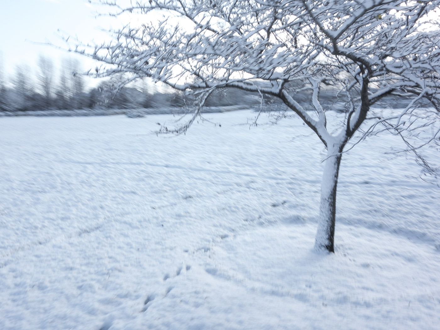 Reykjavík. Snow, a lot of snow. - Klambratún. III. (21 October 2014)