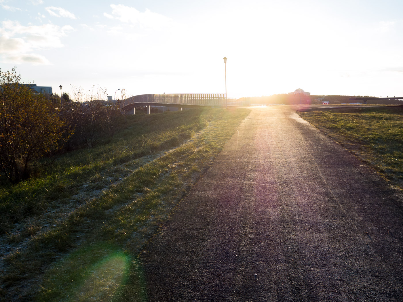 Reykjavík. Miscellaneous LXXX. - . (5 till 31 October 2014)