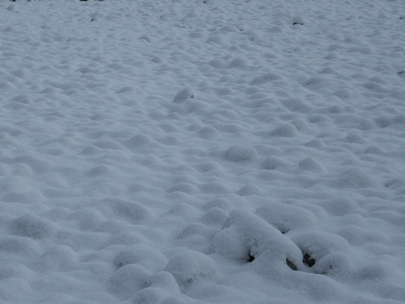 Reykjavík. A month in snow and ice. - III. (3 till 30 December 2014)