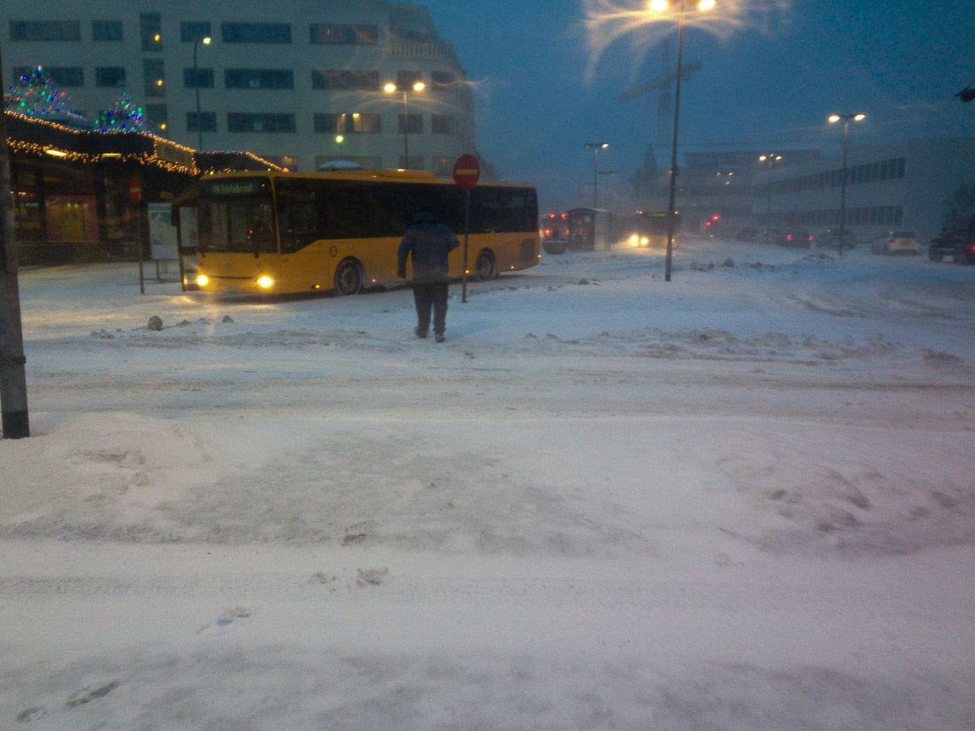 Reykjavík. A month in snow and ice. - XIII. (3 till 30 December 2014)