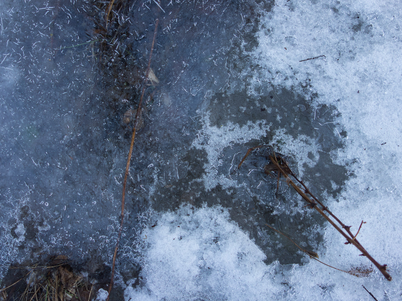 Reykjavík. A month in snow and ice. - XXVI. (3 till 30 December 2014)