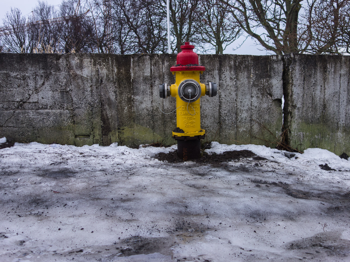 Reykjavík. Miscellaneous LXXXII. - A sculture, very common in Reykjavík. (4 till 31 December 2014)