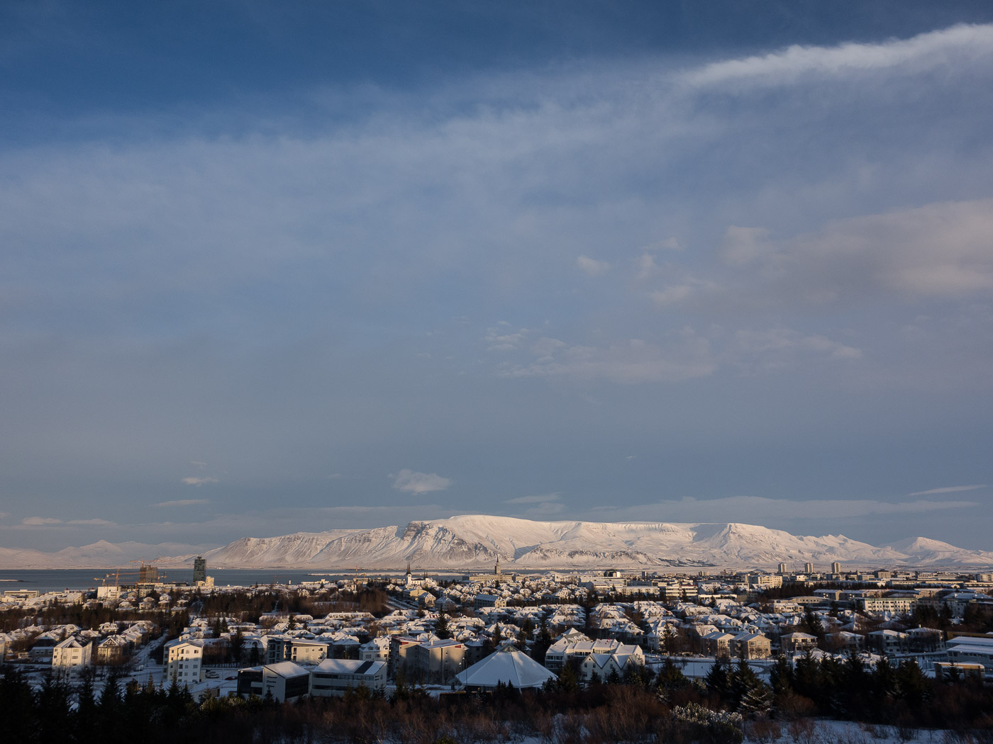 Reykjavík. Miscellaneous LXXXIII. - Weather and winter. V. (9 till 29 January 2015)