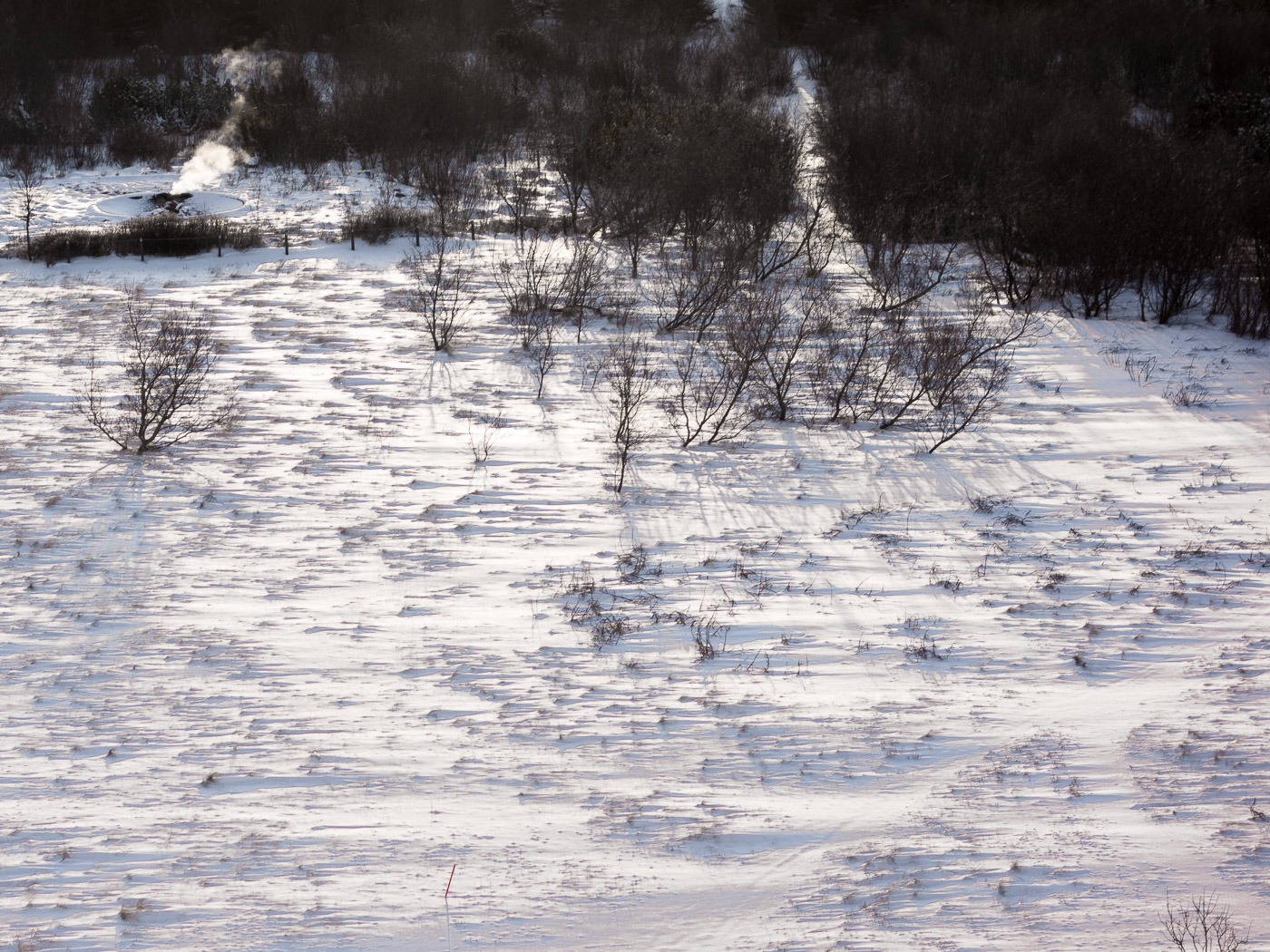 Reykjavík. Miscellaneous LXXXIII. - Weather and winter. VI. (9 till 29 January 2015)