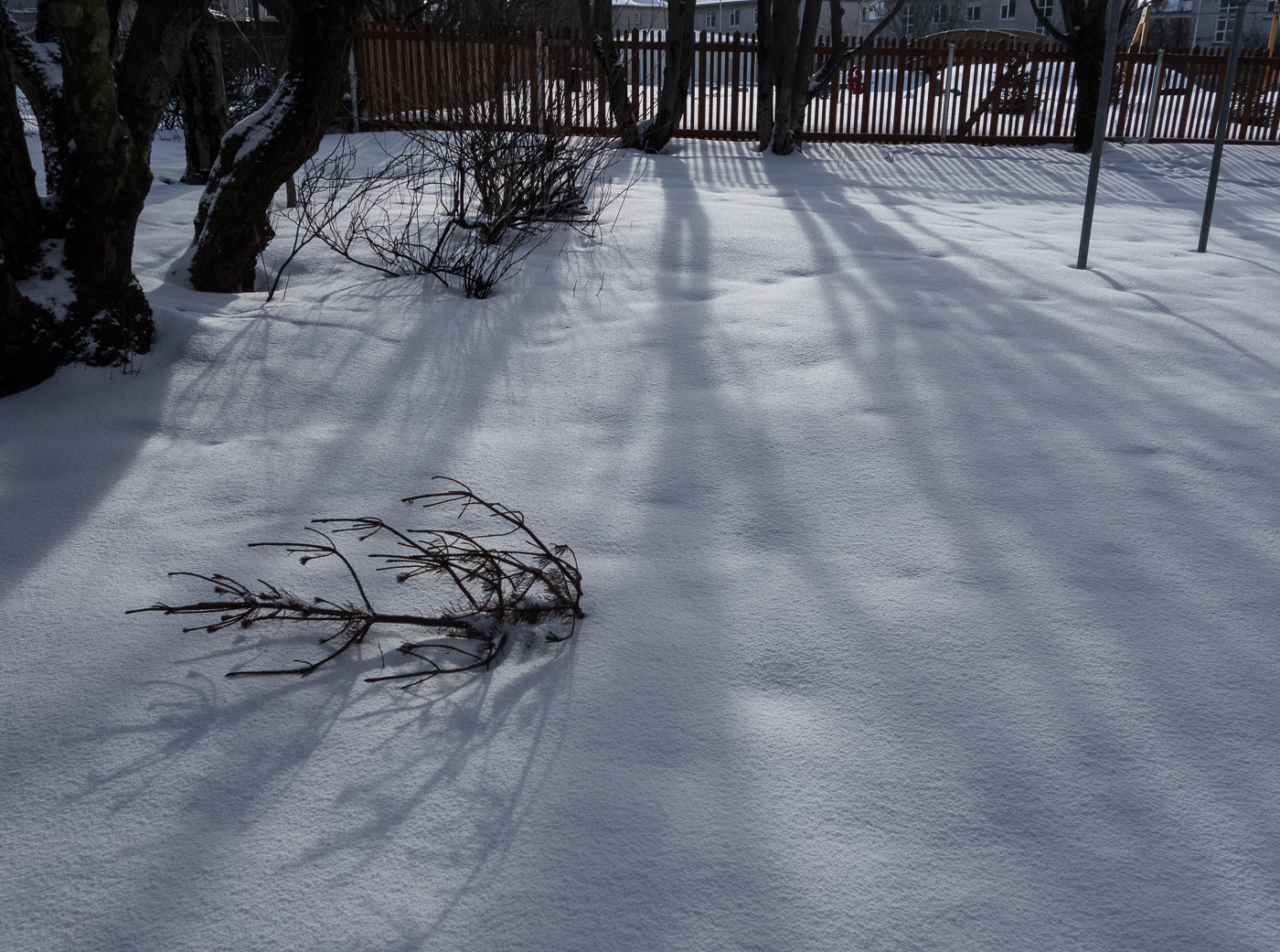 Reykjavík. Miscellaneous LXXXV. - March - winter to spring, but in very short steps ... (8 till 31 March 2015)