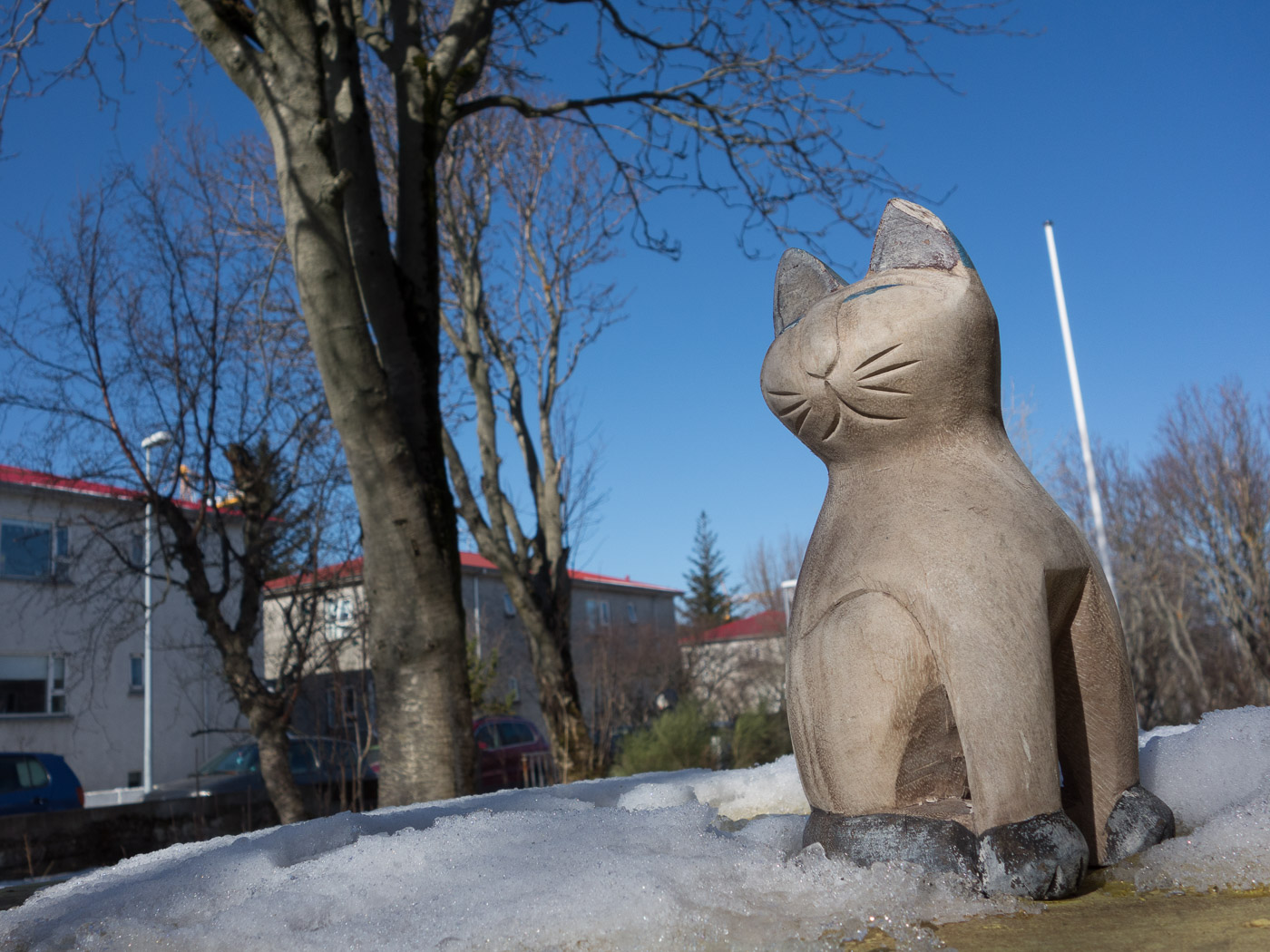 Reykjavík. Miscellaneous LXXXVI. - Cats like springtime - and to be outside again! (1 till 29 April 2015)