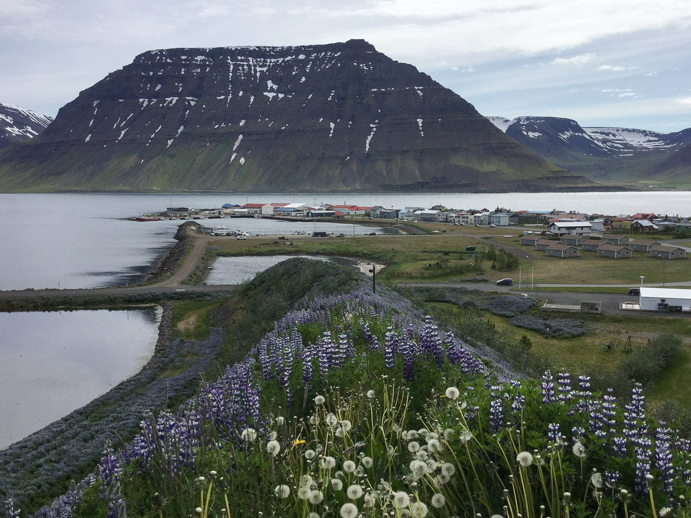 Westfjords in seven days. - Flateyri. (7 til 13 July 2015)