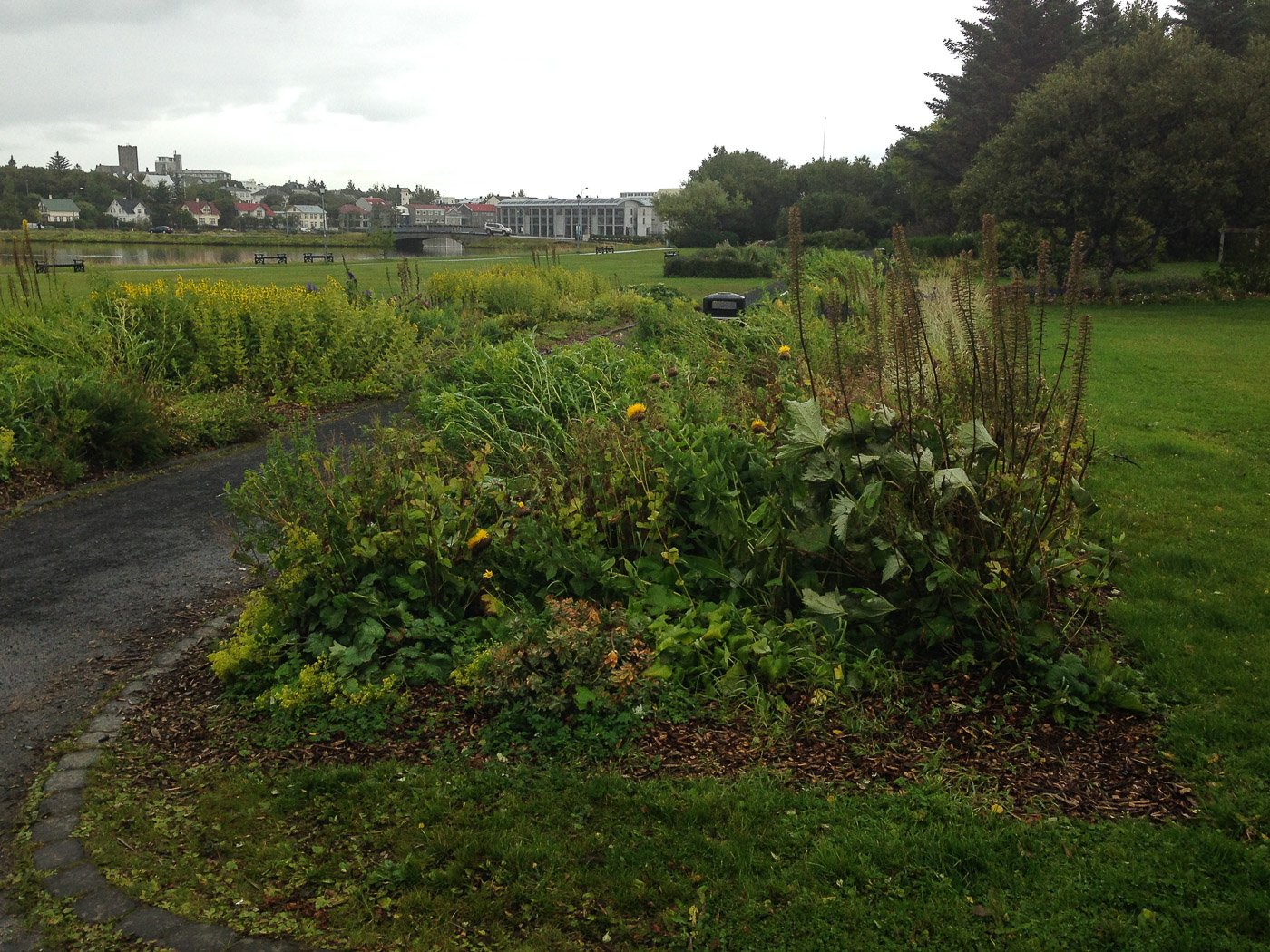 Reykjavík. Miscellaneous LXXXIX. - Green Tjörnin ... (2 till 22 September 2015)