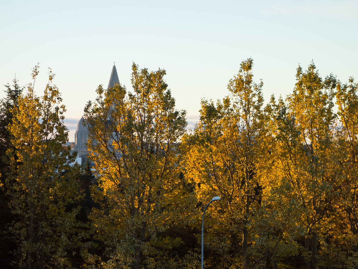 Reykjavík. Miscellaneous LXXXX. - Autumn colours. I. (10 till 31 October 2015)