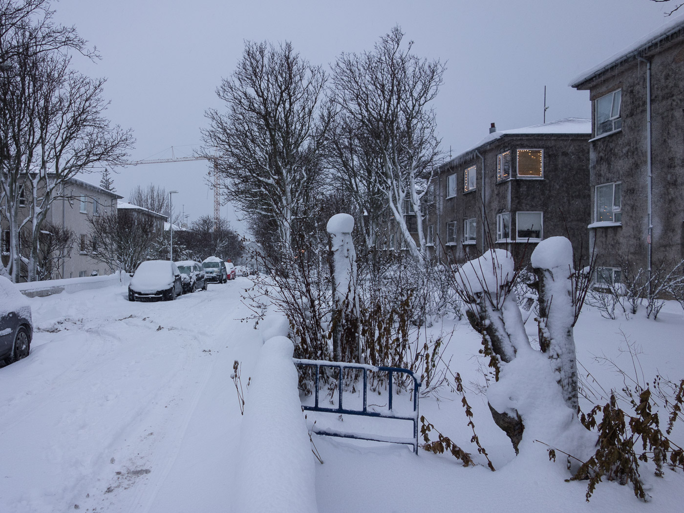 Reykjavík. Miscellaneous LXXXXII. - Winter time in Reykjavík. II. (1 till 25 December 2015)