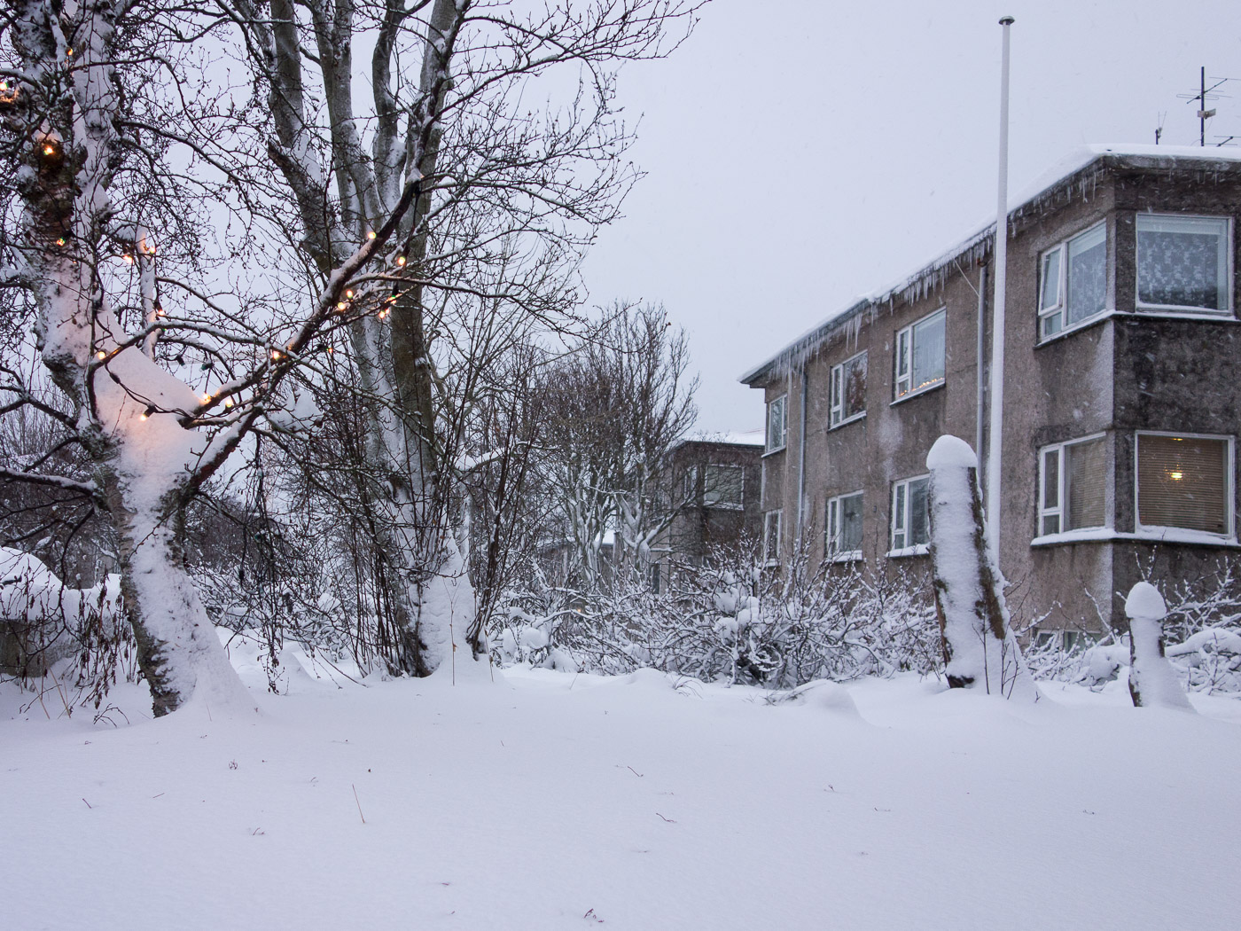 Reykjavík. Miscellaneous LXXXXII. - Winter time in Reykjavík. IV. (1 till 25 December 2015)