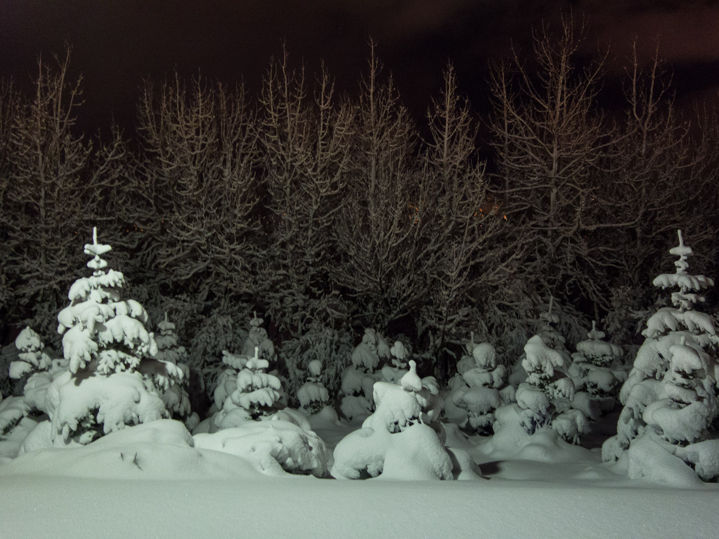Reykjavík. Miscellaneous LXXXXII. - Winter time in Reykjavík. V. (1 till 25 December 2015)