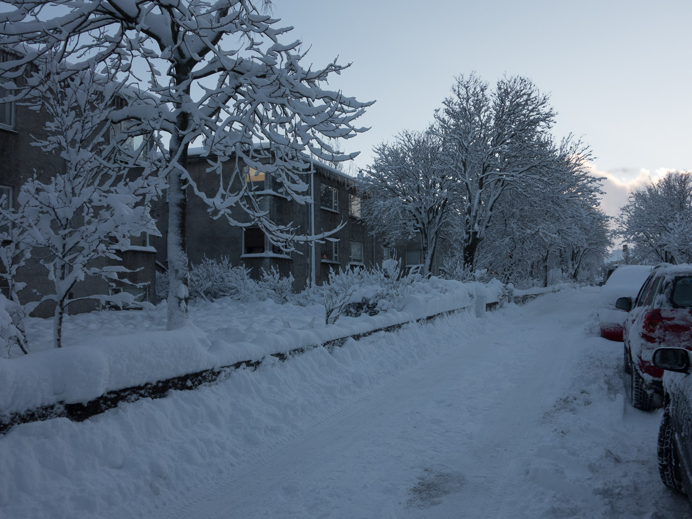 Reykjavík. Miscellaneous LXXXXII. - Winter time in Reykjavík. VI. (1 till 25 December 2015)