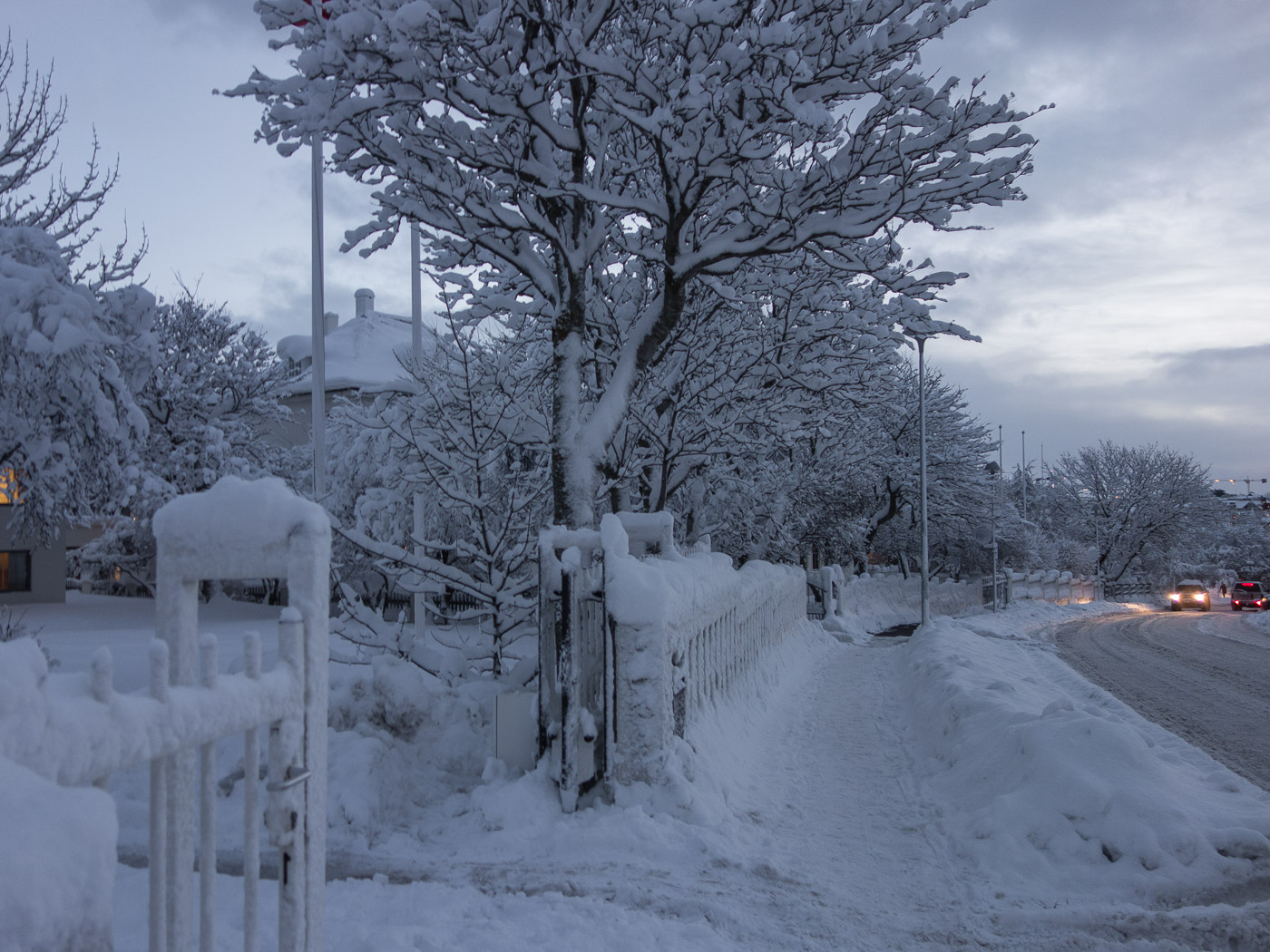 Reykjavík. Miscellaneous LXXXXII. - Winter time in Reykjavík. VII. (1 till 25 December 2015)