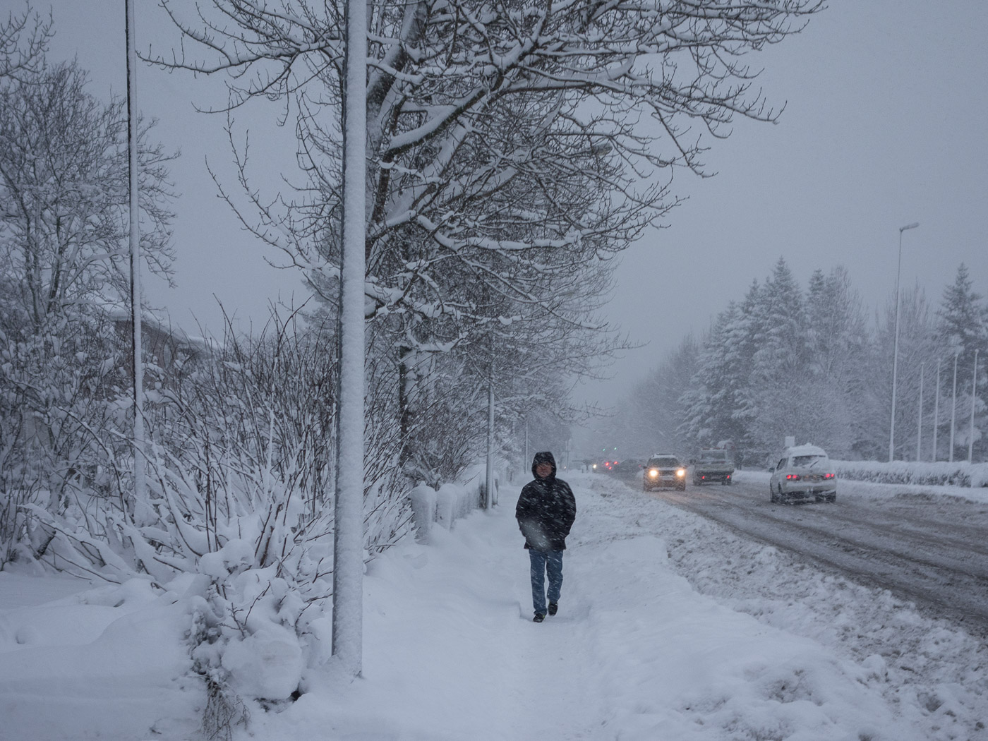 Reykjavík. Miscellaneous LXXXXII. - Winter time in Reykjavík. VIII. (1 till 25 December 2015)