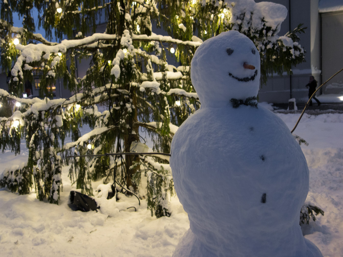 Reykjavík. Miscellaneous LXXXXII. - Winter time in Reykjavík. X. (1 till 25 December 2015)