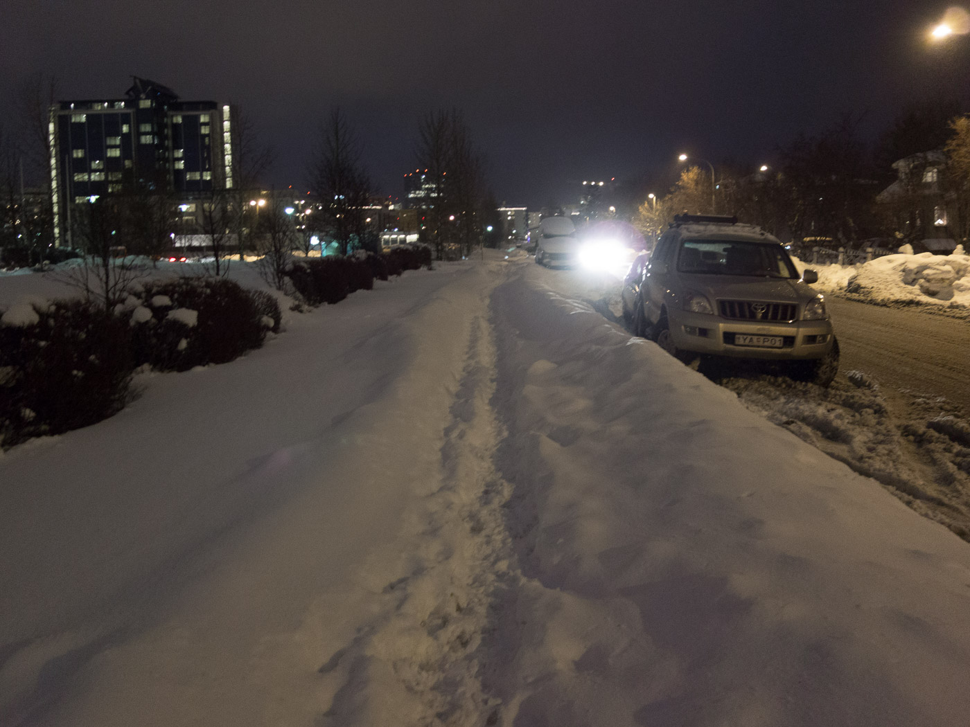 Reykjavík. Miscellaneous LXXXXII. - Winter time in Reykjavík. XI. (1 till 25 December 2015)