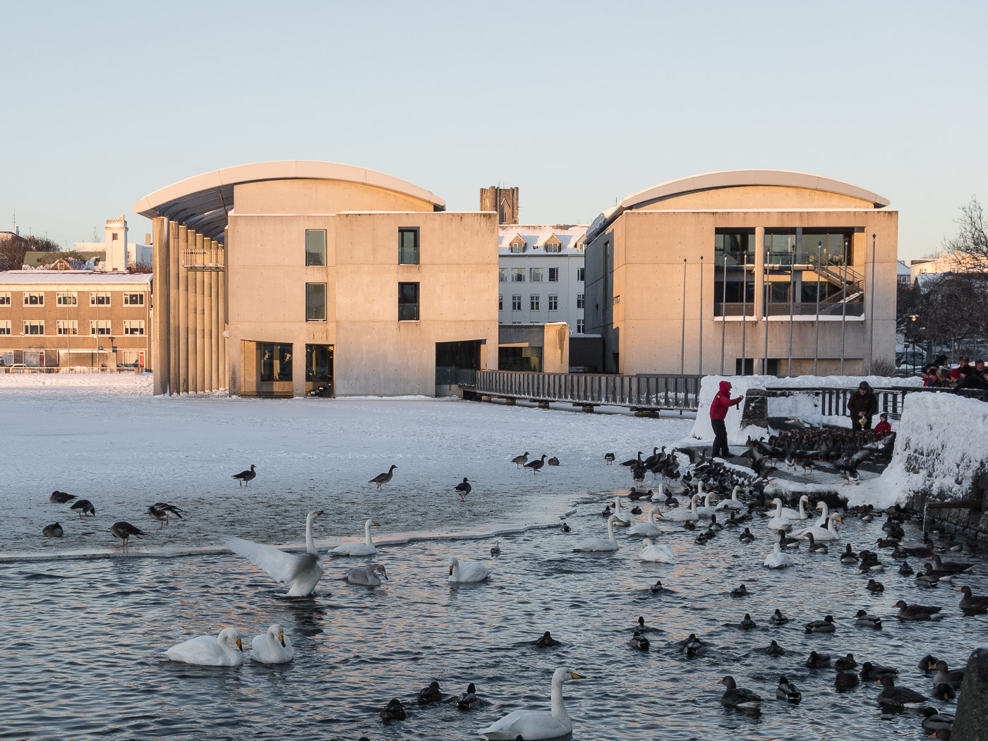 Reykjavík. Miscellaneous LXXXXII. - Winter time in Reykjavík. XIII. (1 till 25 December 2015)