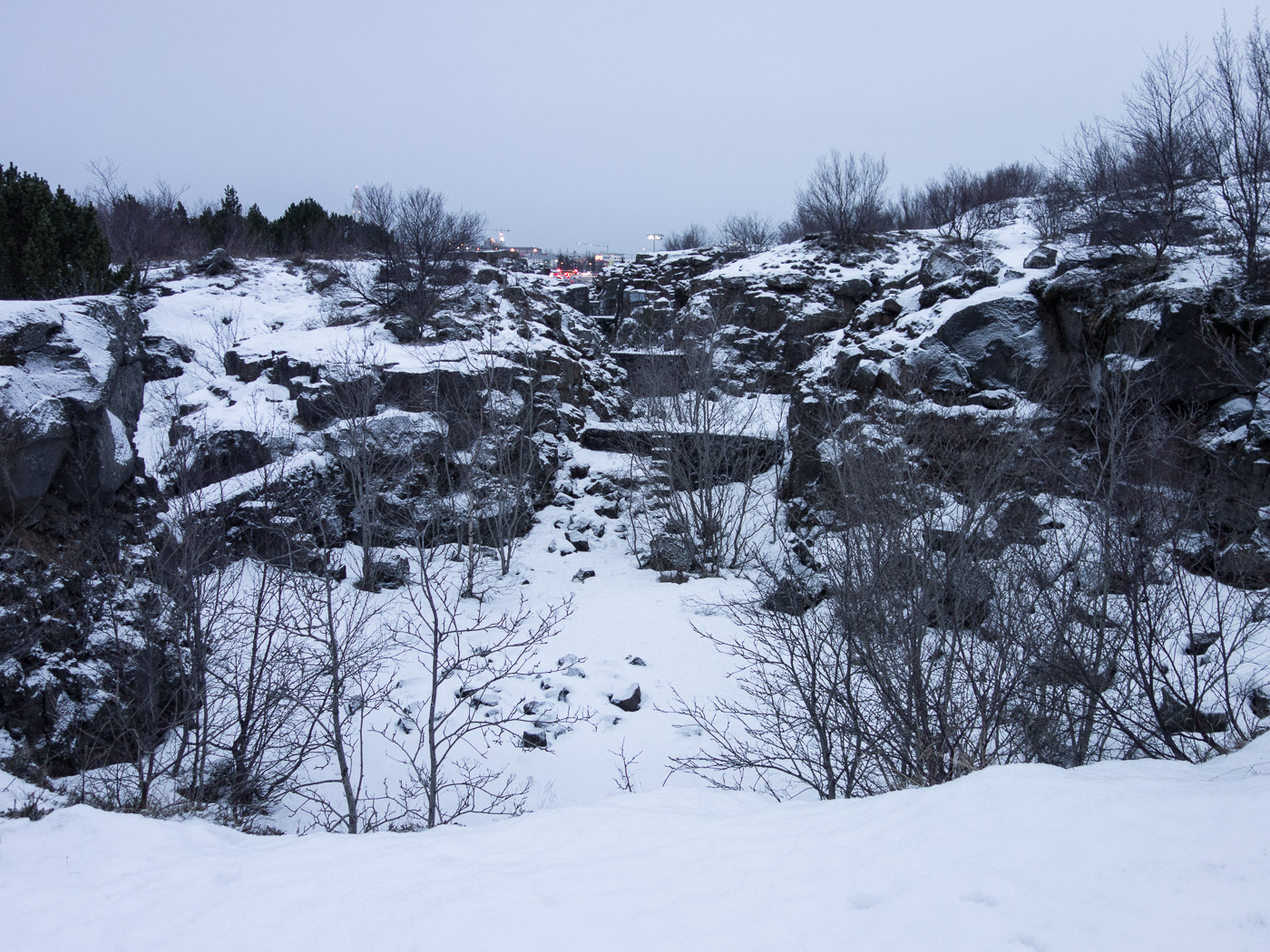 Reykjavík. Miscellaneous LXXXXII. - Öskjuhlíð. I. (1 till 25 December 2015)