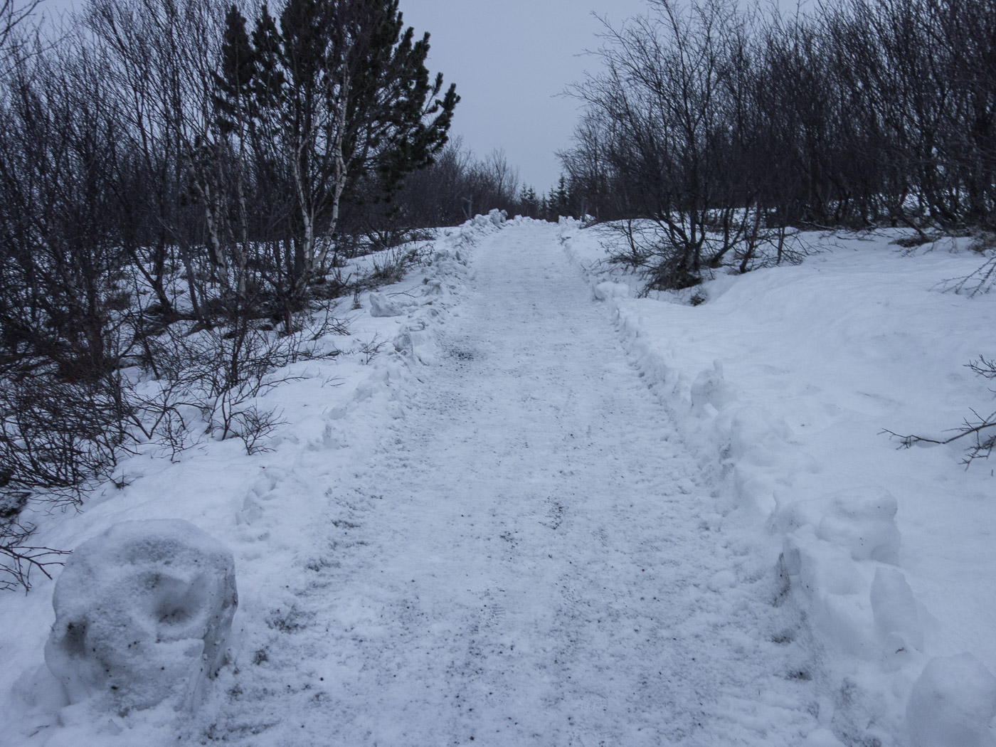 Reykjavík. Miscellaneous LXXXXII. - Öskjuhlíð. II. (1 till 25 December 2015)