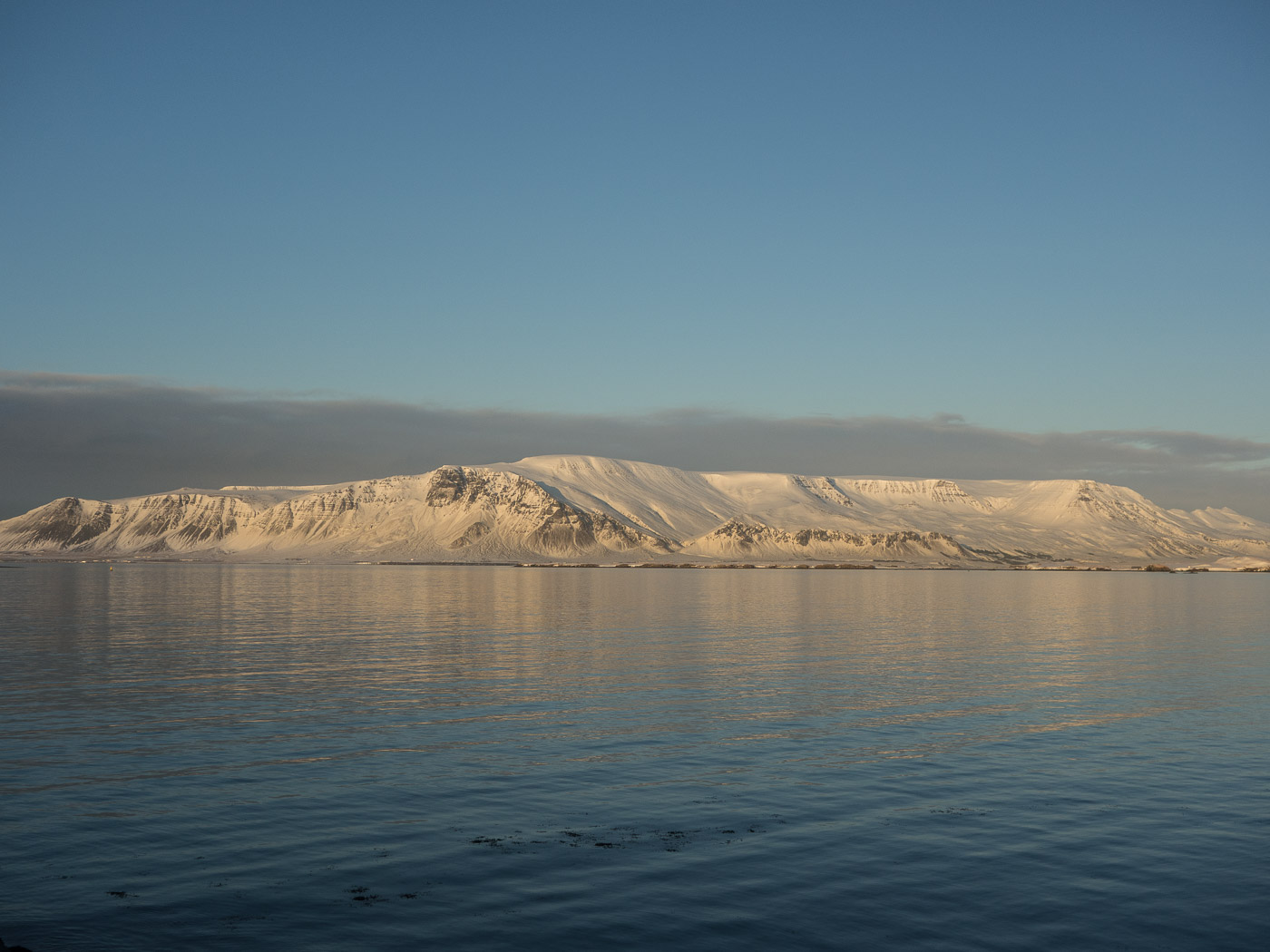 Reykjavík. Miscellaneous XCIV. -  Esja mountain II. (1 till 29 February 2016)